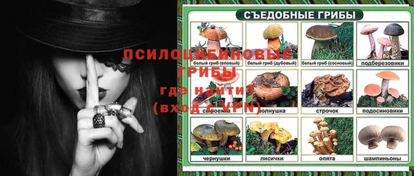 трава Алексин