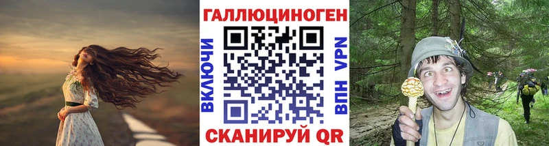 Купить закладки  Алагир  Галлюциногенные грибы MAGIC MUSHROOMS 