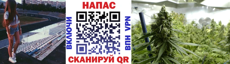 Шишки марихуана тримм  Купить закладки  Алагир 